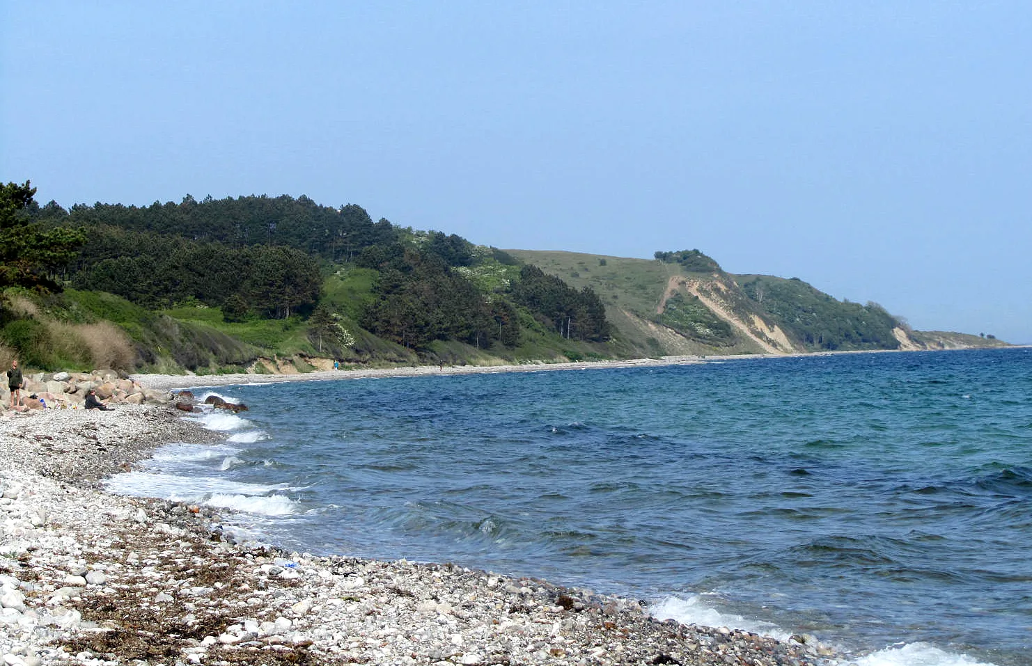Bursklint – Foto bei Wikimedia Commons