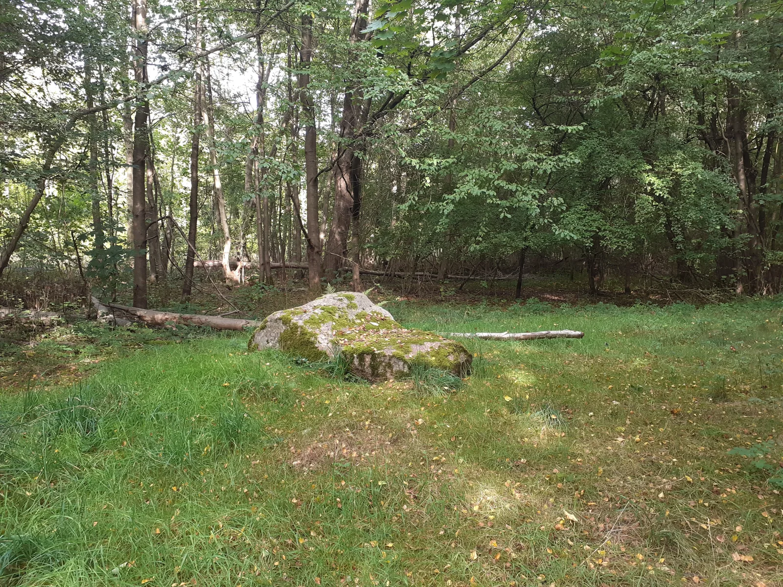 Finlandiastenen – Foto bei Wikimedia Commons