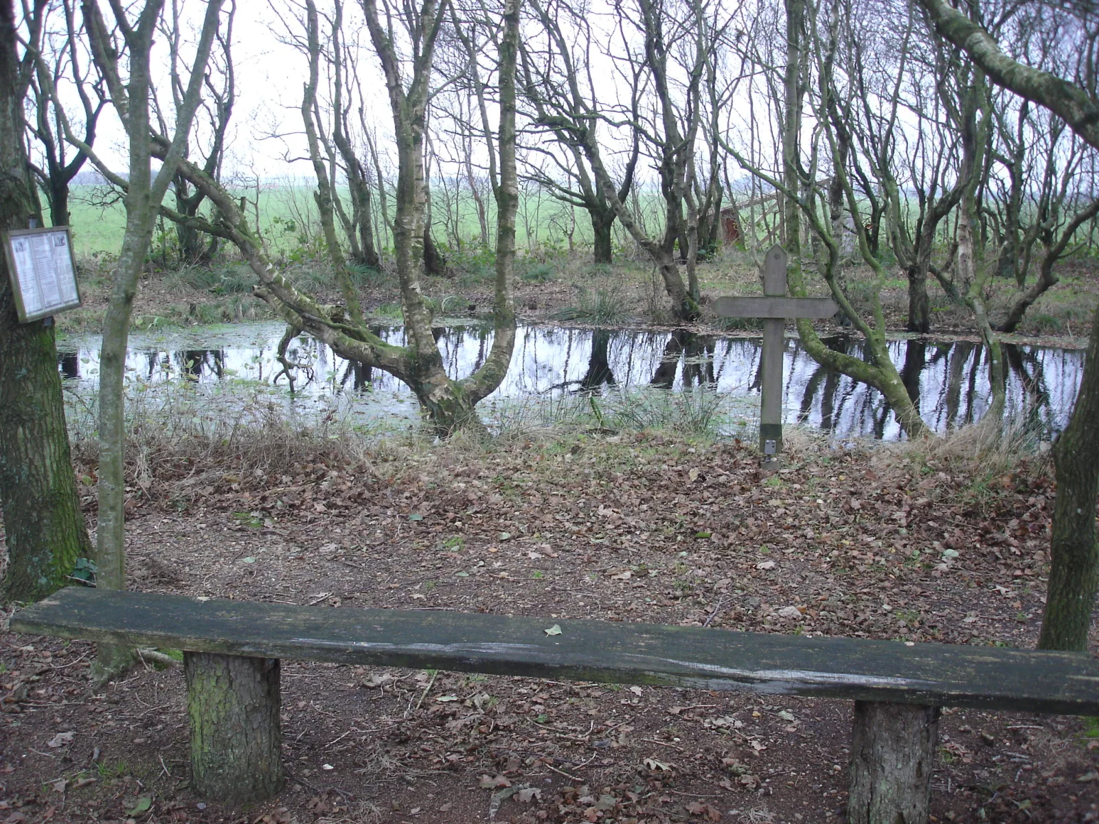 Flyvergraven – foto fra Wikimedia Commons