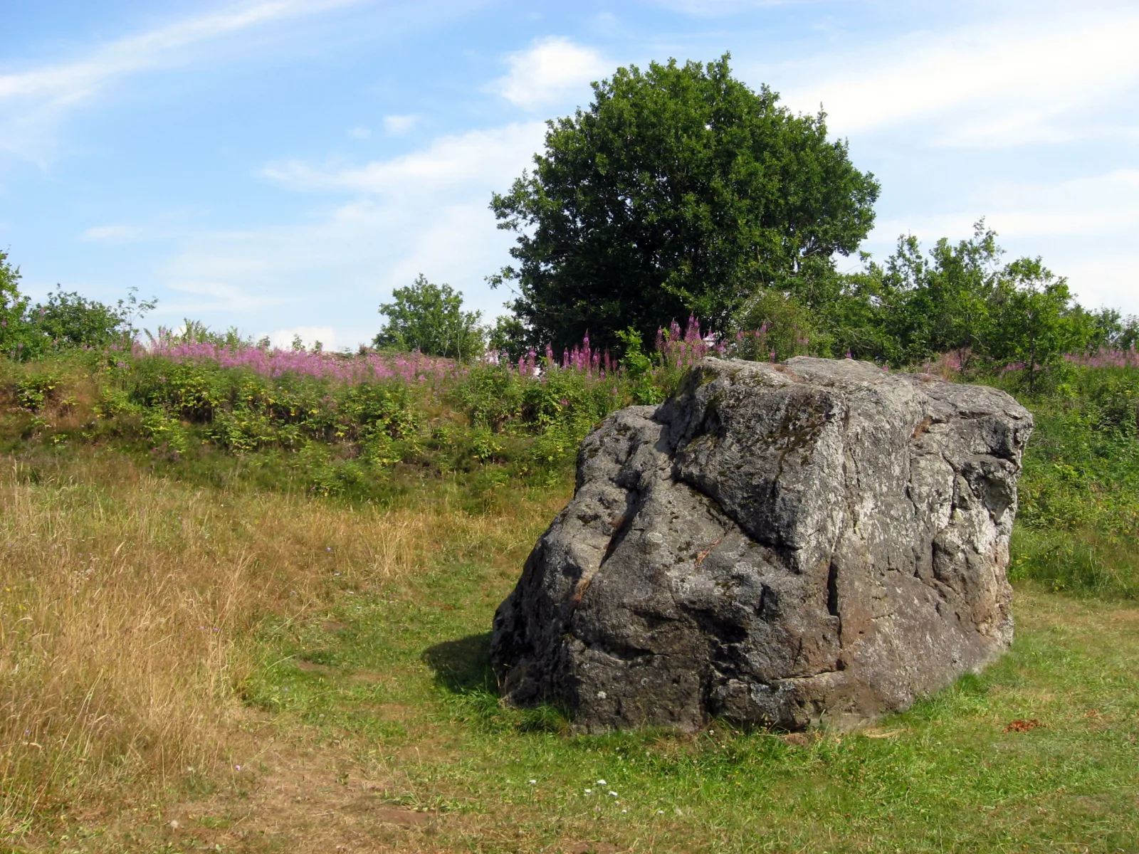Janum Kjøt – foto fra Wikimedia Commons