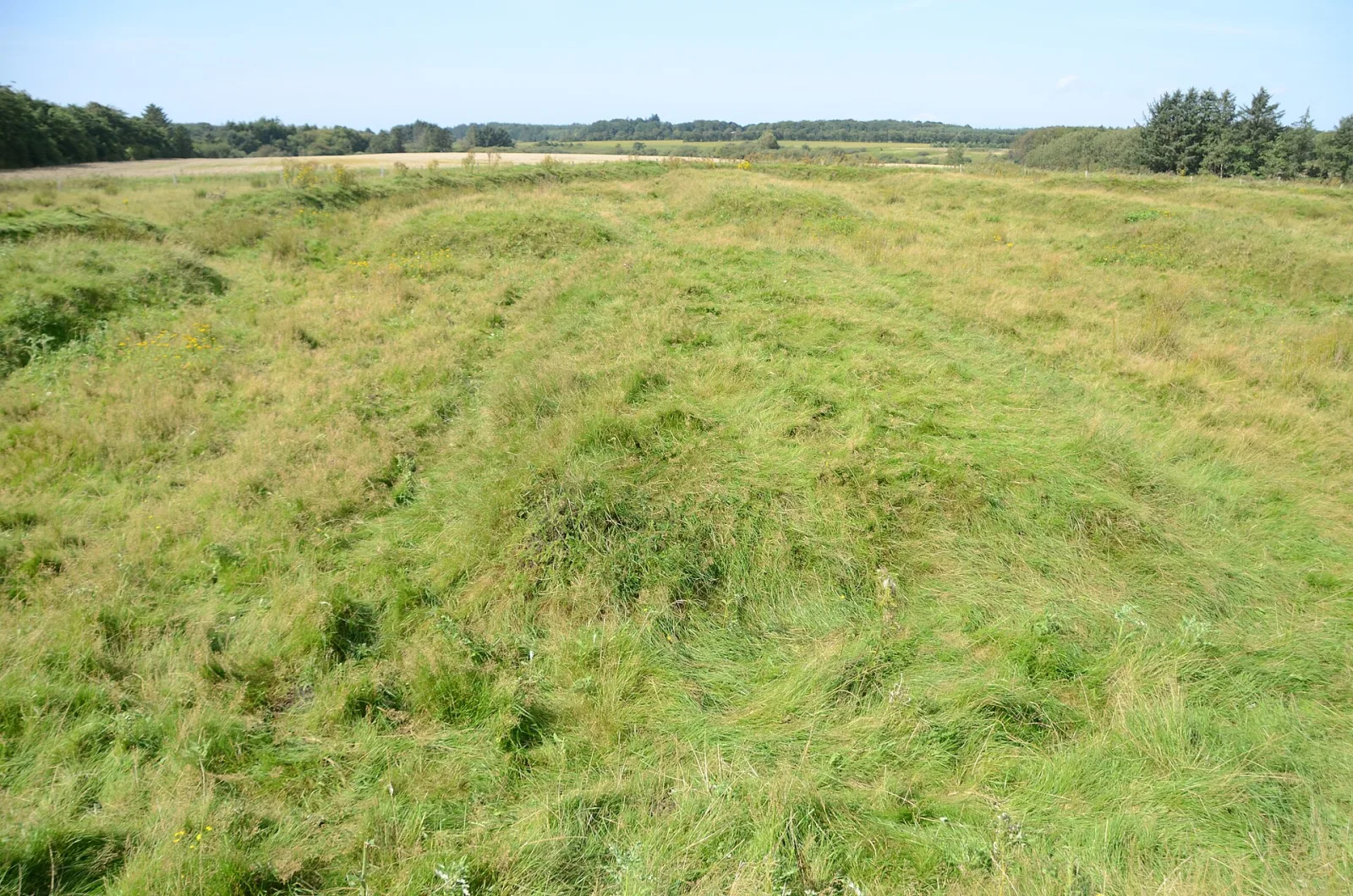 Lyngsmosefæstningen – foto fra Wikimedia Commons