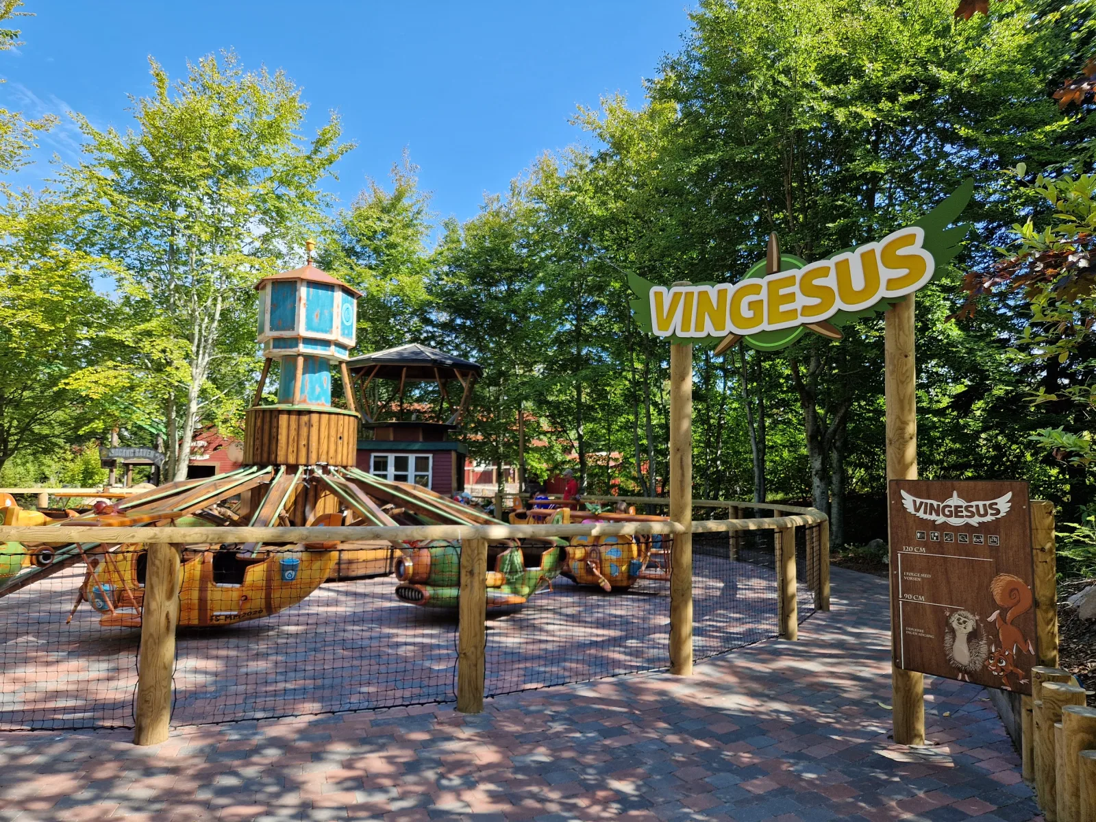 Vingesus – foto af Kigsz på Wikimedia Commons (cc-by-sa-4.0)