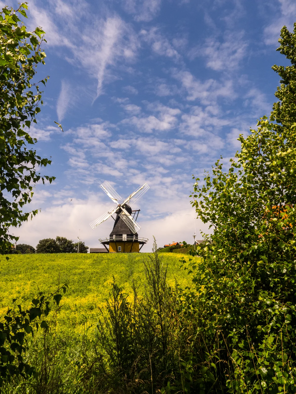 Agersø Mølle – foto af Bo Mertz på Wikimedia Commons (cc-by-sa-2.0)