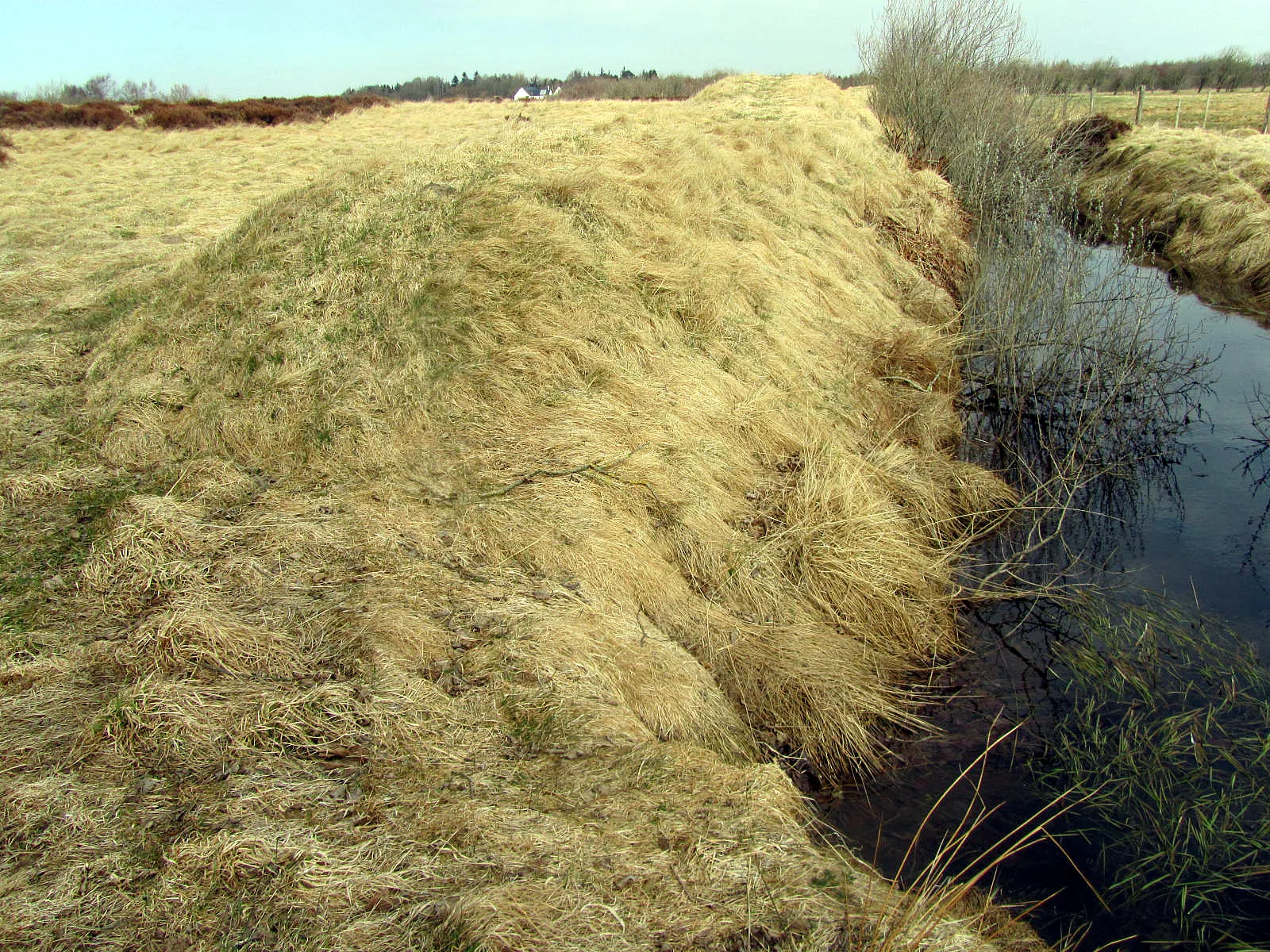 Borremose Fæstningen – foto af Nico-dk på Wikimedia Commons (cc-by-sa-3.0)
