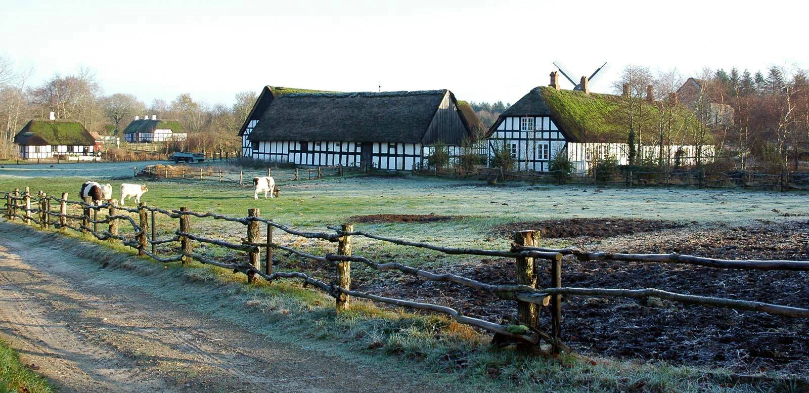 Hjerl Hede – foto af Wikimedia Commons contributor på Wikimedia Commons (public domain)