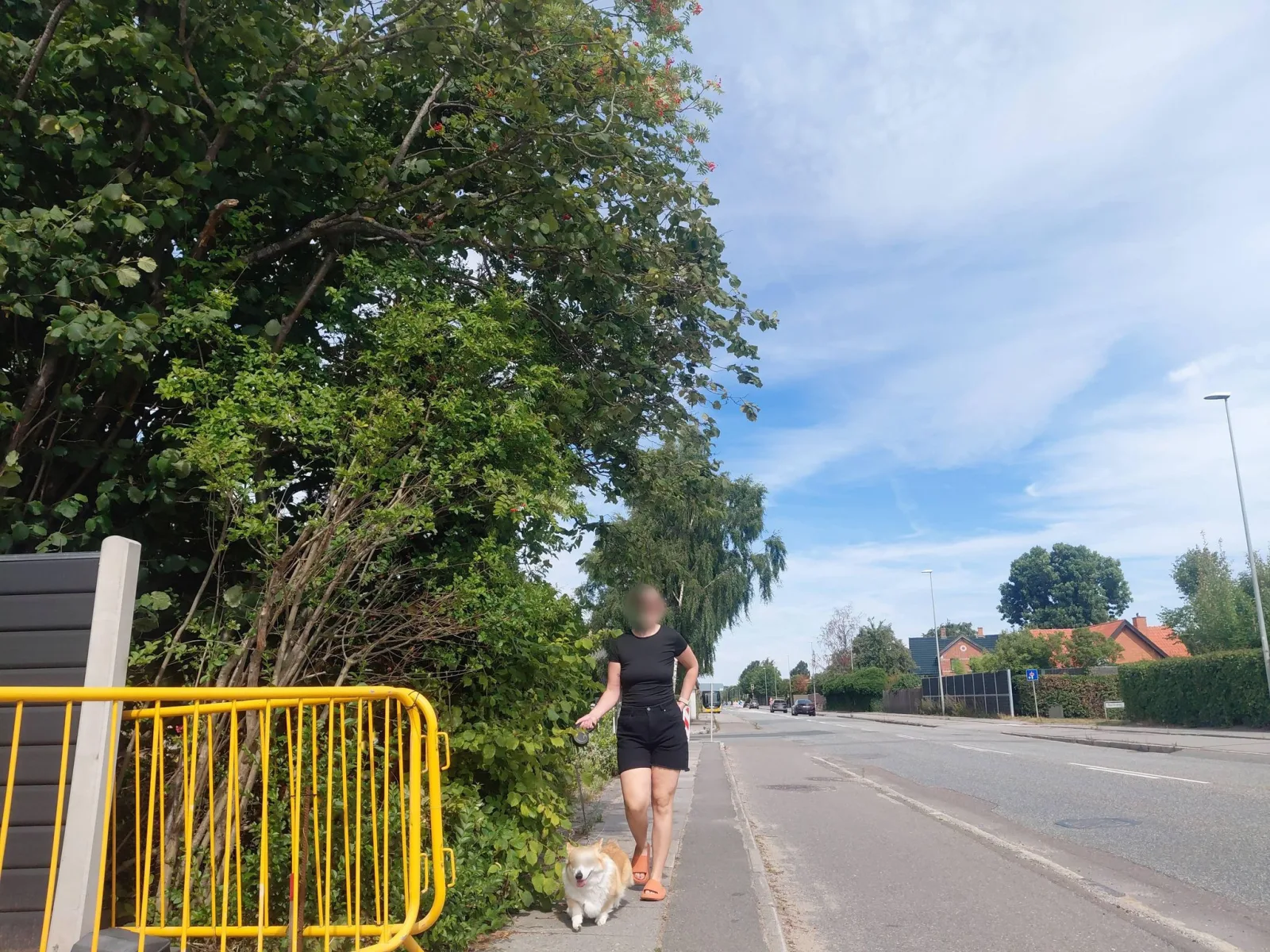 Mapillary-Foto in der Nähe von Risskov Food House