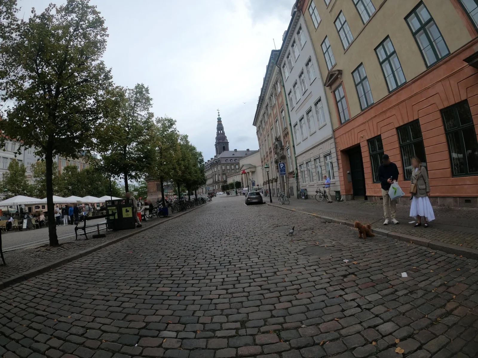Mapillary-Foto in der Nähe von Matrikel 1