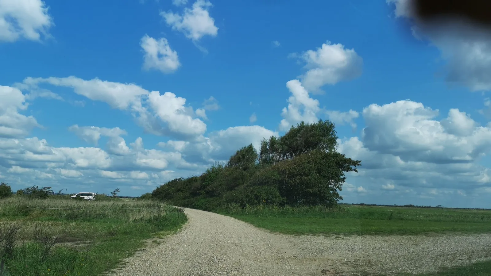 Mapillary-foto nær Naturcenter Skjern Enge