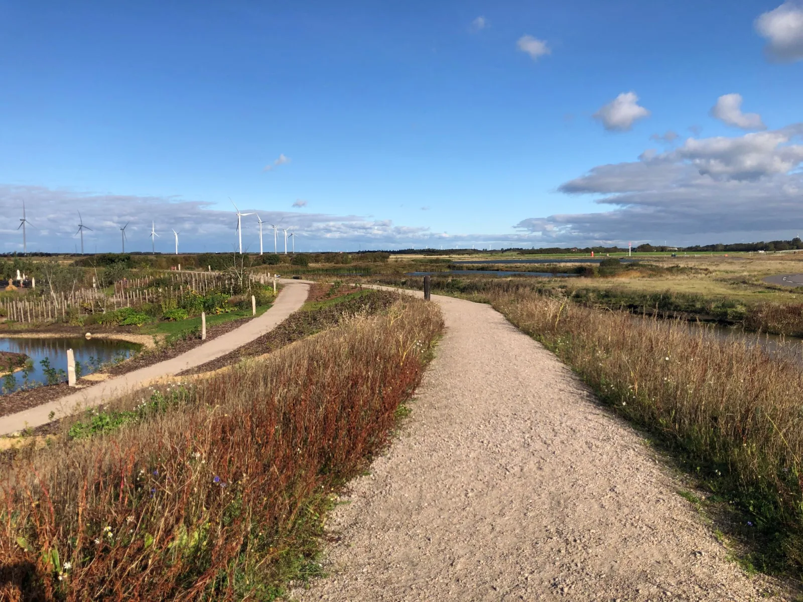 Mapillary-foto nær Oplevelsespark Naturkraft