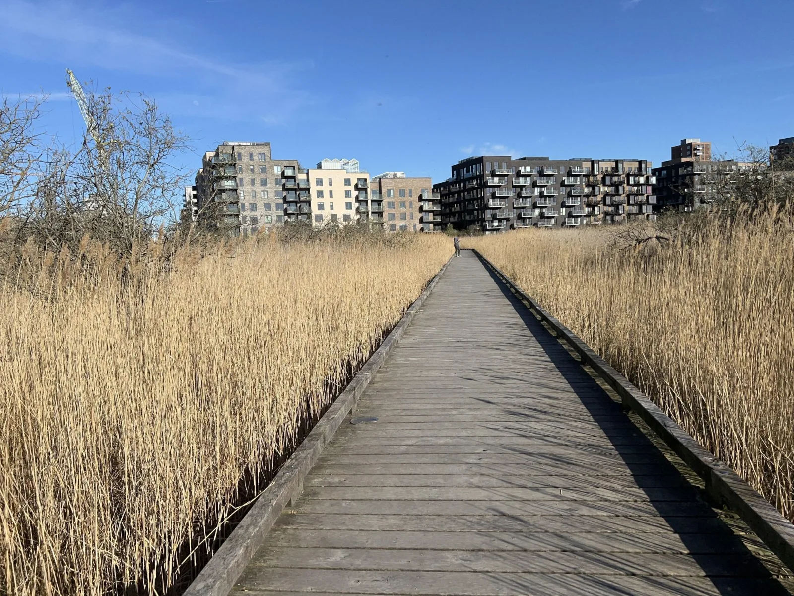 Mapillary-Foto in der Nähe von Udsigtstårnet
