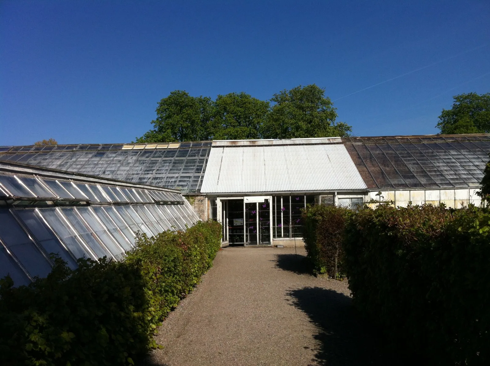 Mapillary-Foto in der Nähe von Afrikanske Bjerggeder
