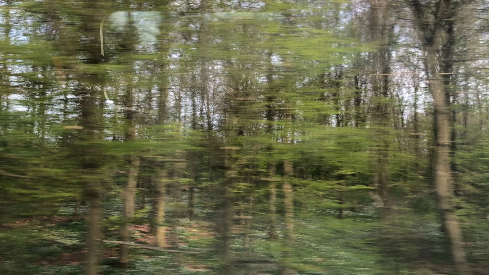 Mapillary-Foto bei Badegewässer: GRUSGRAVSØ VED DYNDET
