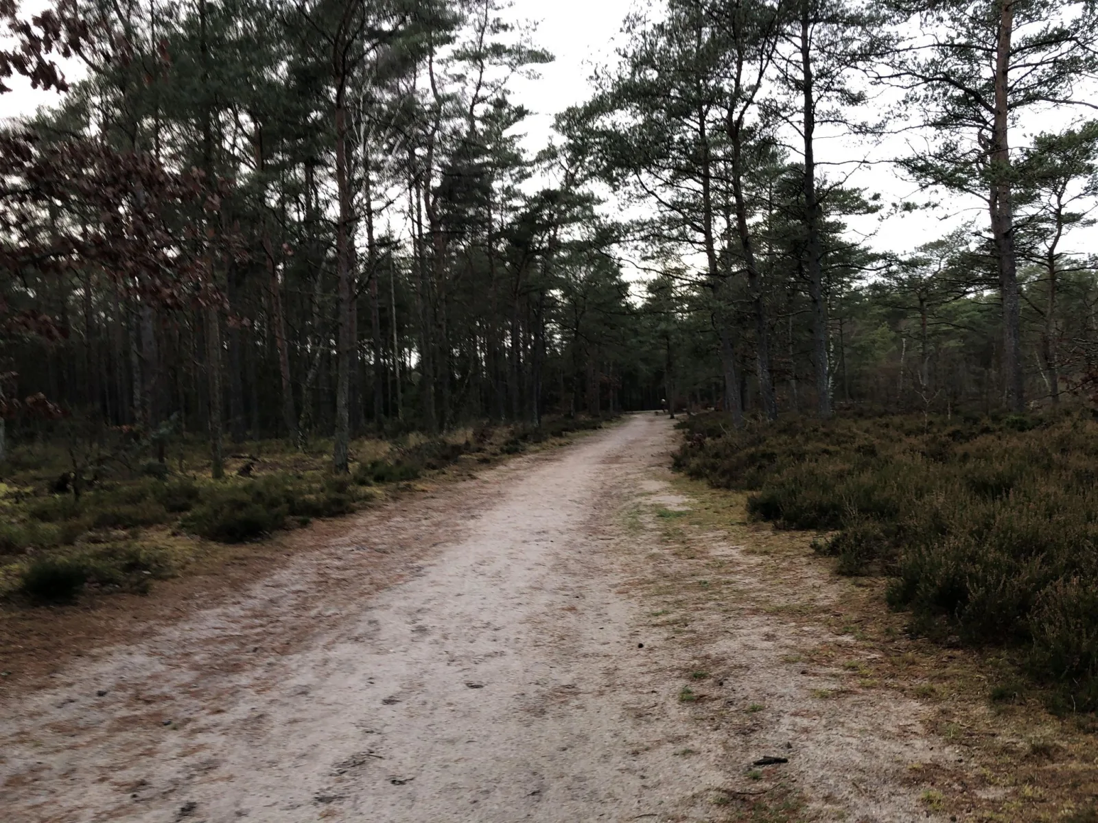 Badegewässer: SCHOUBYS SØ