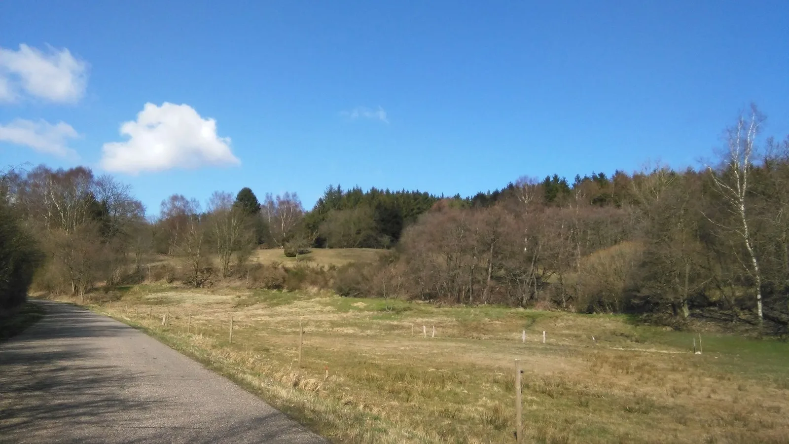 Mapillary-Foto bei Badegewässer: BIRKHEDE CAMPING