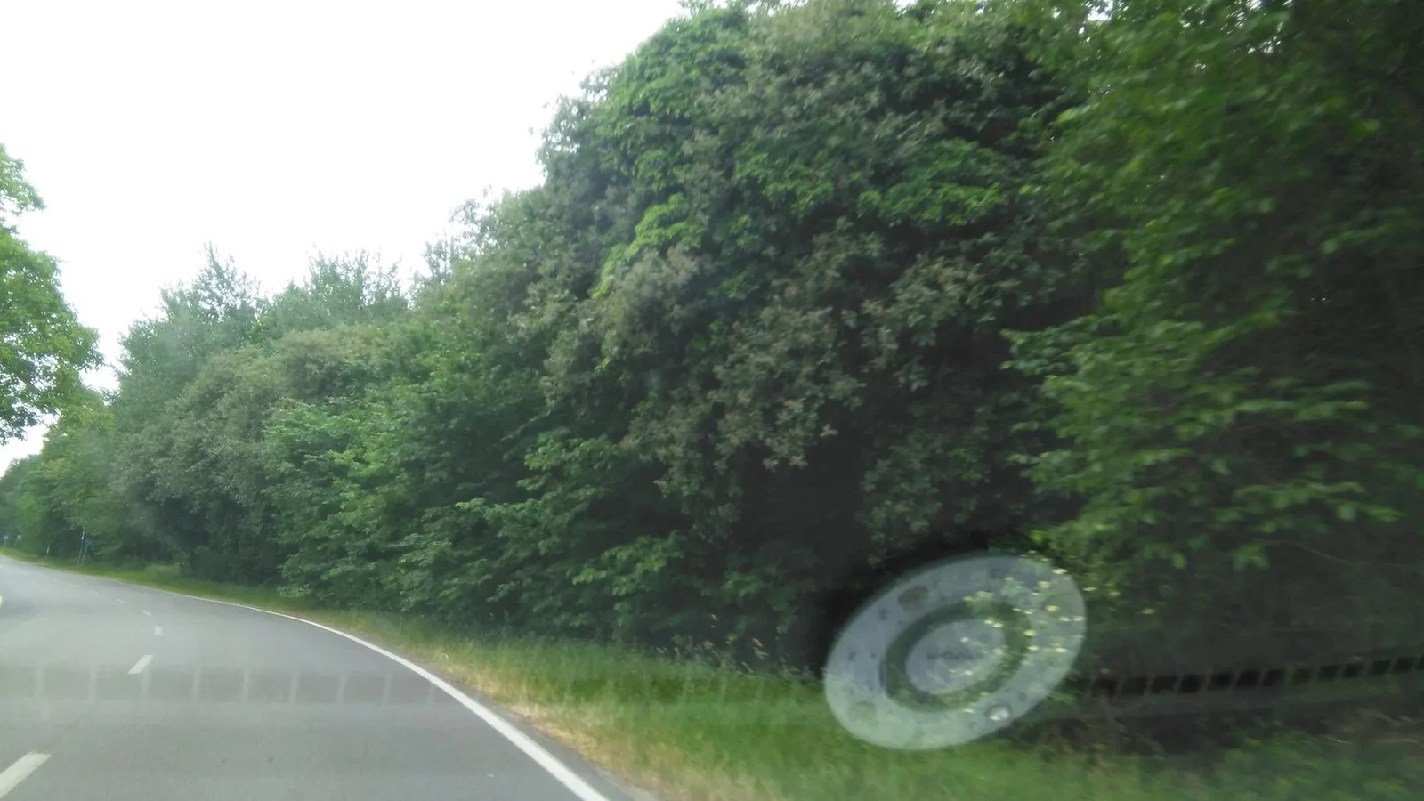 Mapillary-foto ved Badegewässer: RØNNE 500 M SYD