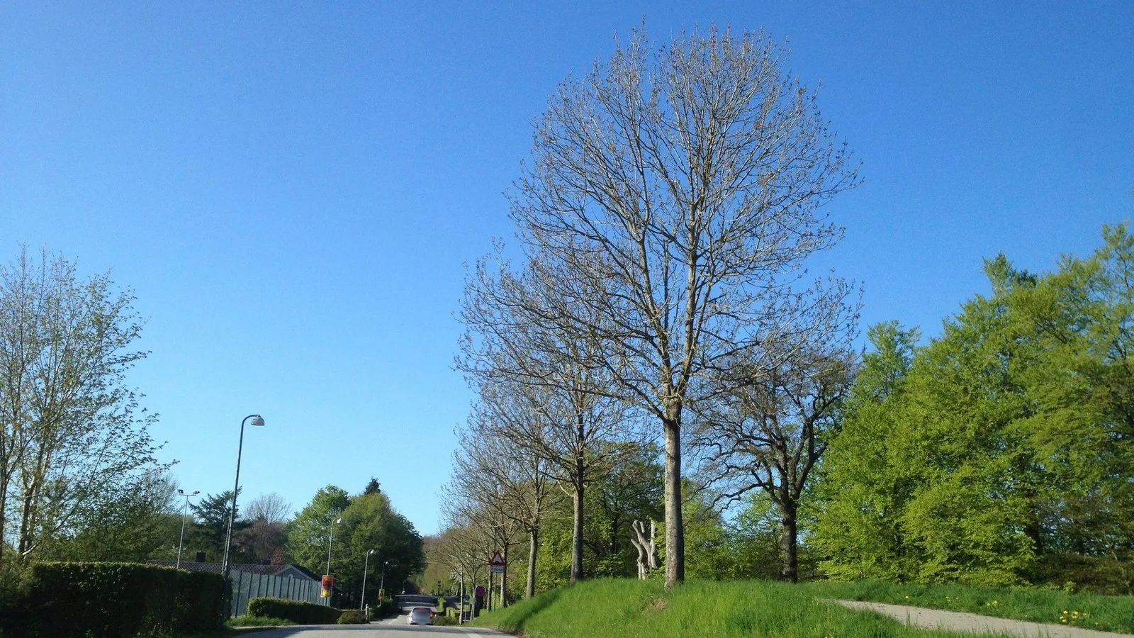 Mapillary-Foto bei Badegewässer: HVIDSØ, JYSTRUP
