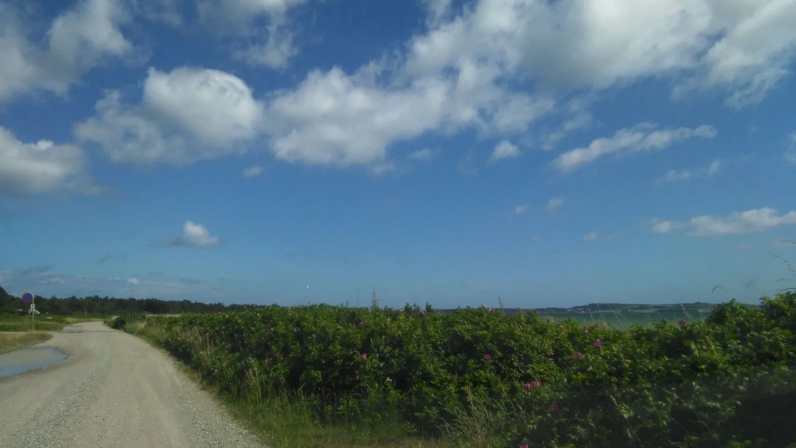 Mapillary-foto ved Badegewässer: BEGTRUPVIG VEST
