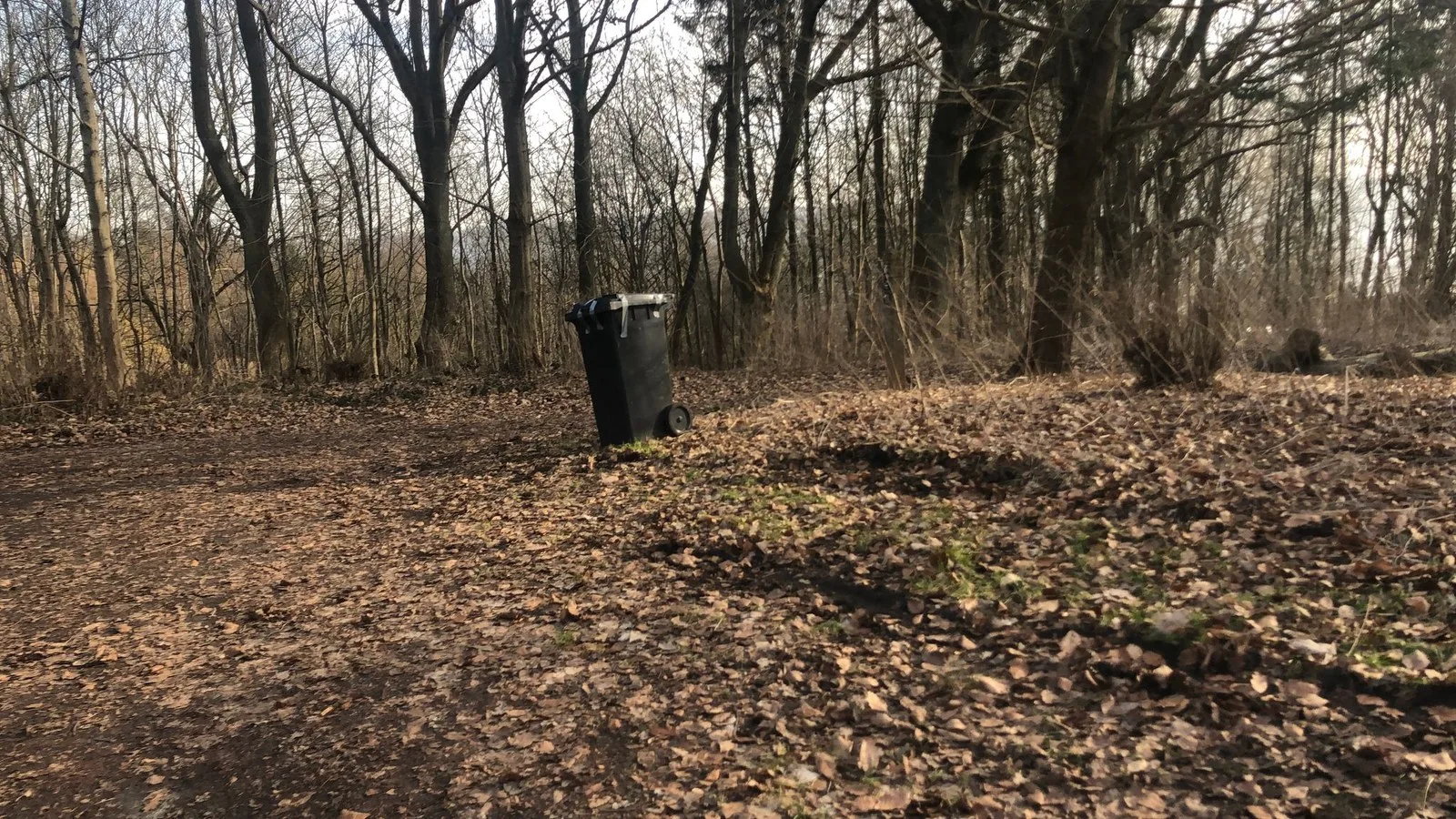 Mapillary-foto ved Badegewässer: SKÆRBÆK STRANDPARK