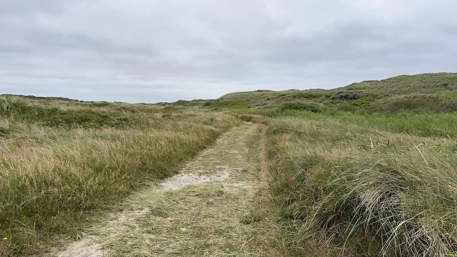 Mapillary-Foto bei Badegewässer: HOUSTRUP STRAND
