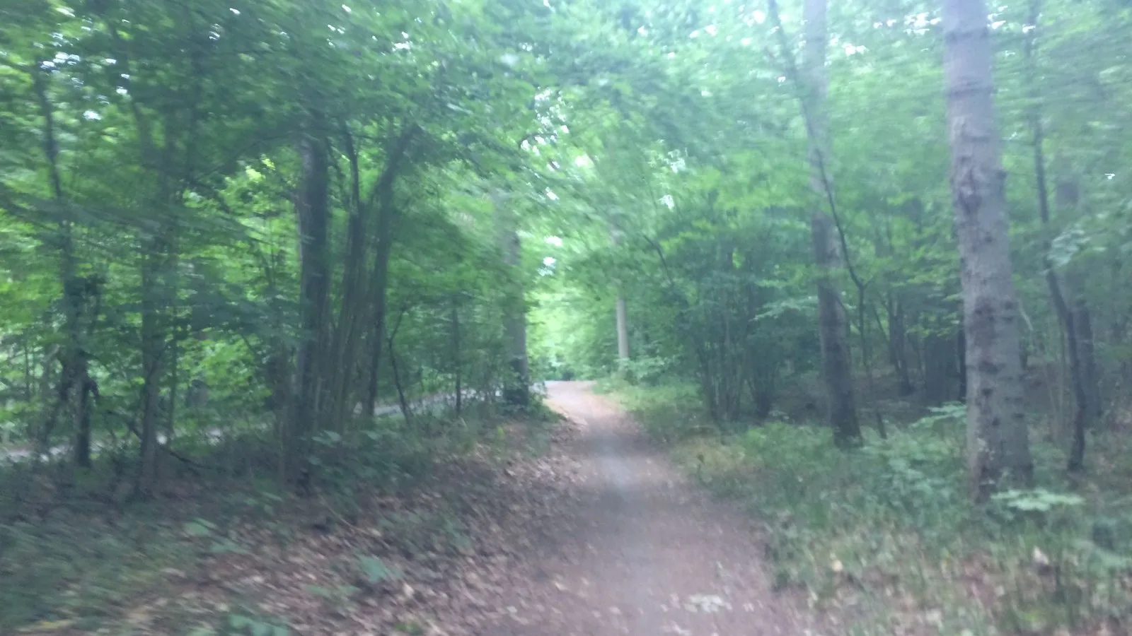 Mapillary-Foto bei Badegewässer: BLYKOBBE