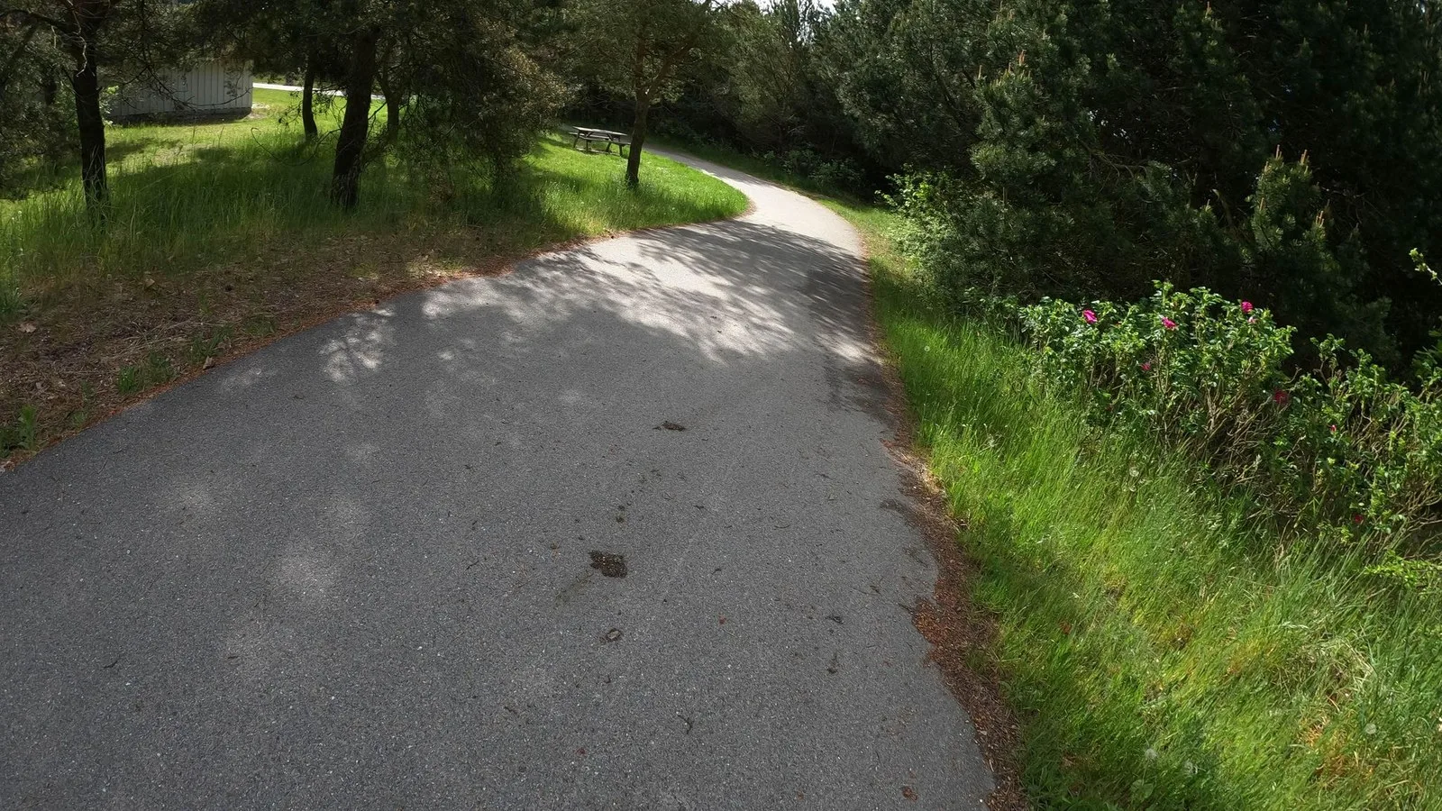 Mapillary-Foto bei Badegewässer: HUNDIGE HAVN
