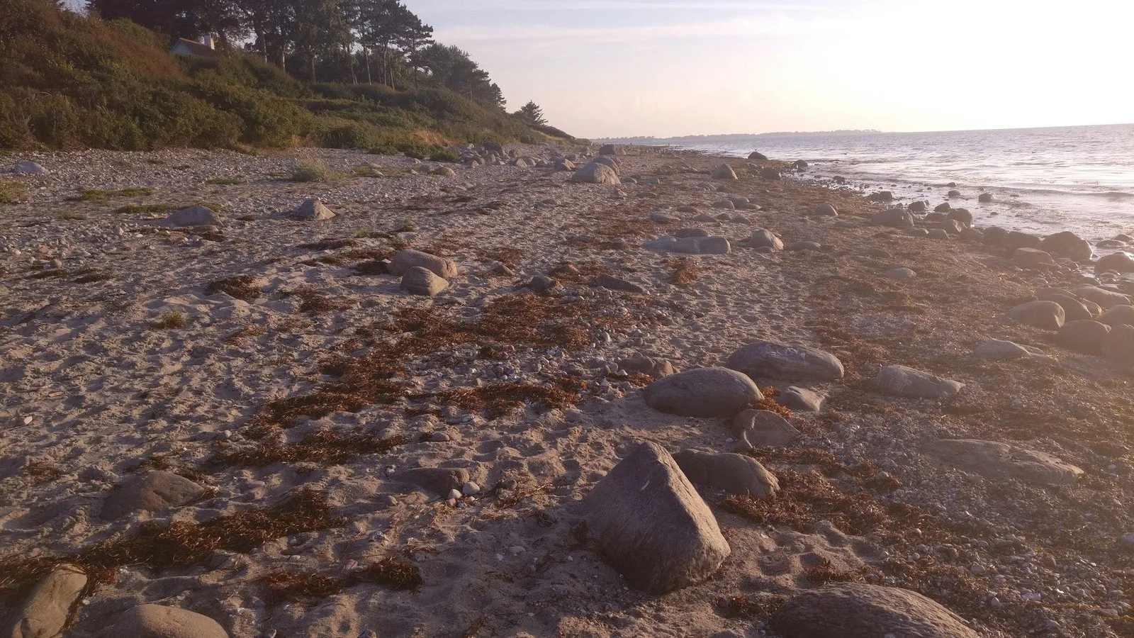 Mapillary-foto af strand eller hav ved Badegewässer: VEDDINGE STRAND
