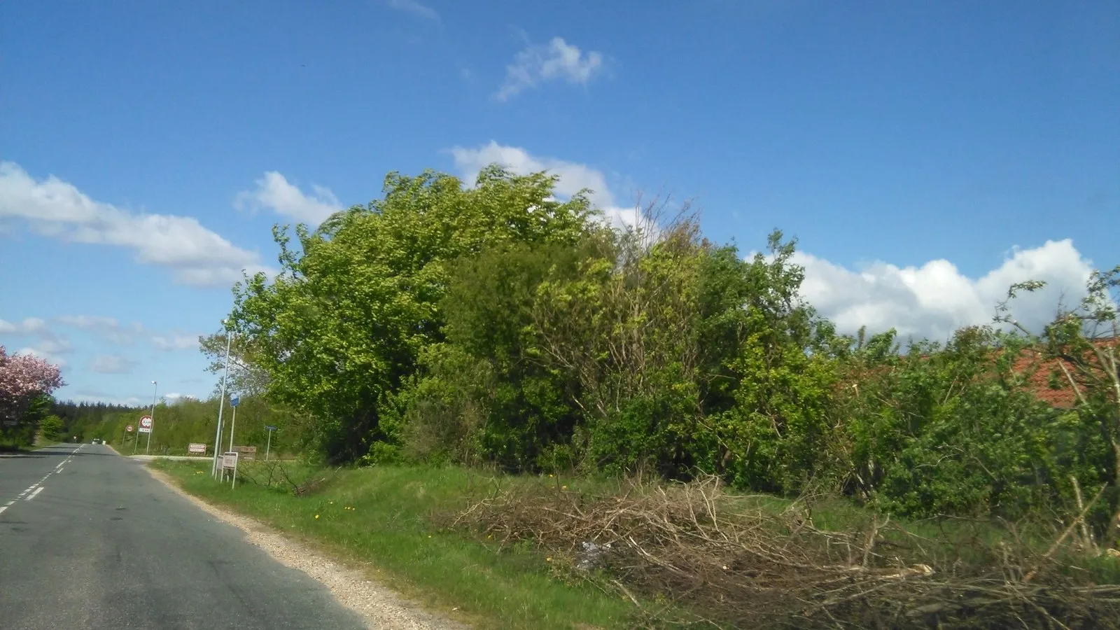 Mapillary-Foto bei Badegewässer: GJESSØ