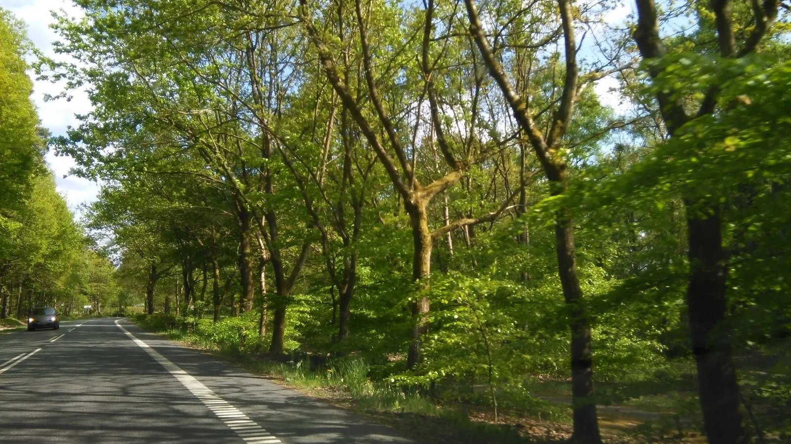 Mapillary-foto ved Badegewässer: DE SMÅ FISK