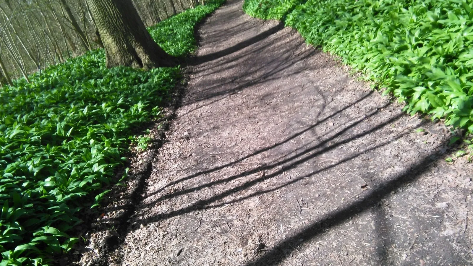 Mapillary-Foto bei Badegewässer: DEN PERMANENTE