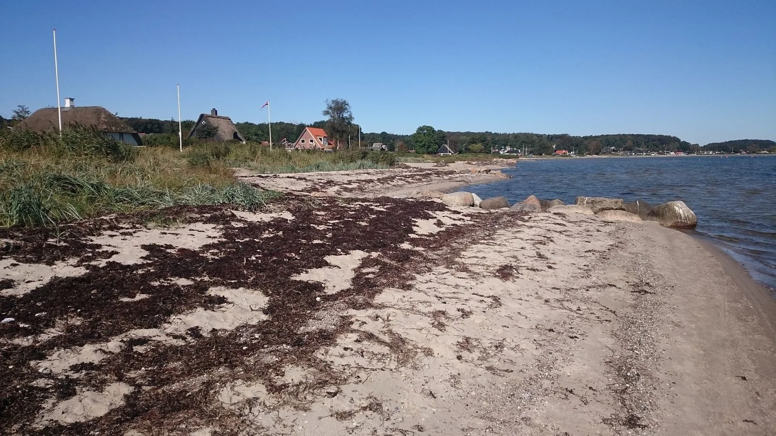 Mapillary-foto af strand eller hav ved Badegewässer: BINDERUP STRAND