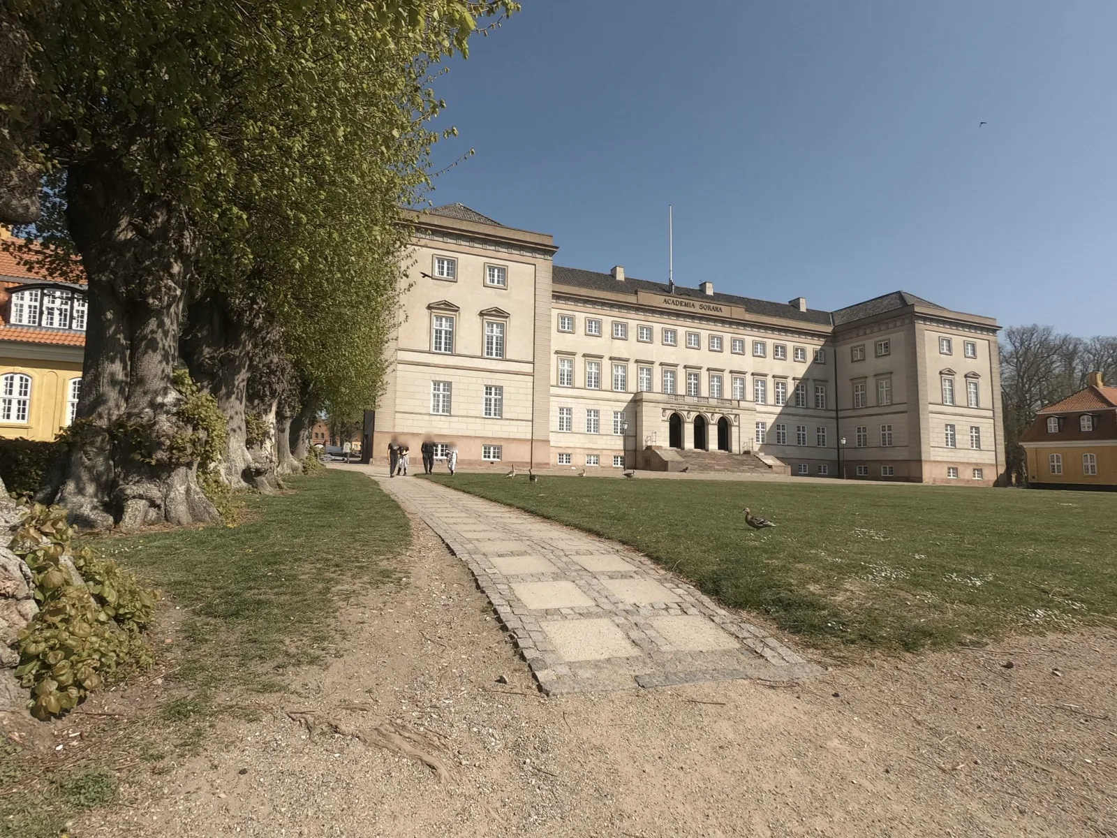 Mapillary-foto nær Skjalms Have
