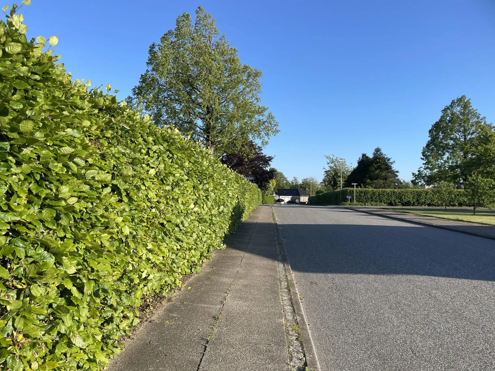 Mapillary-Foto in der Nähe von Marcelinos Spisested