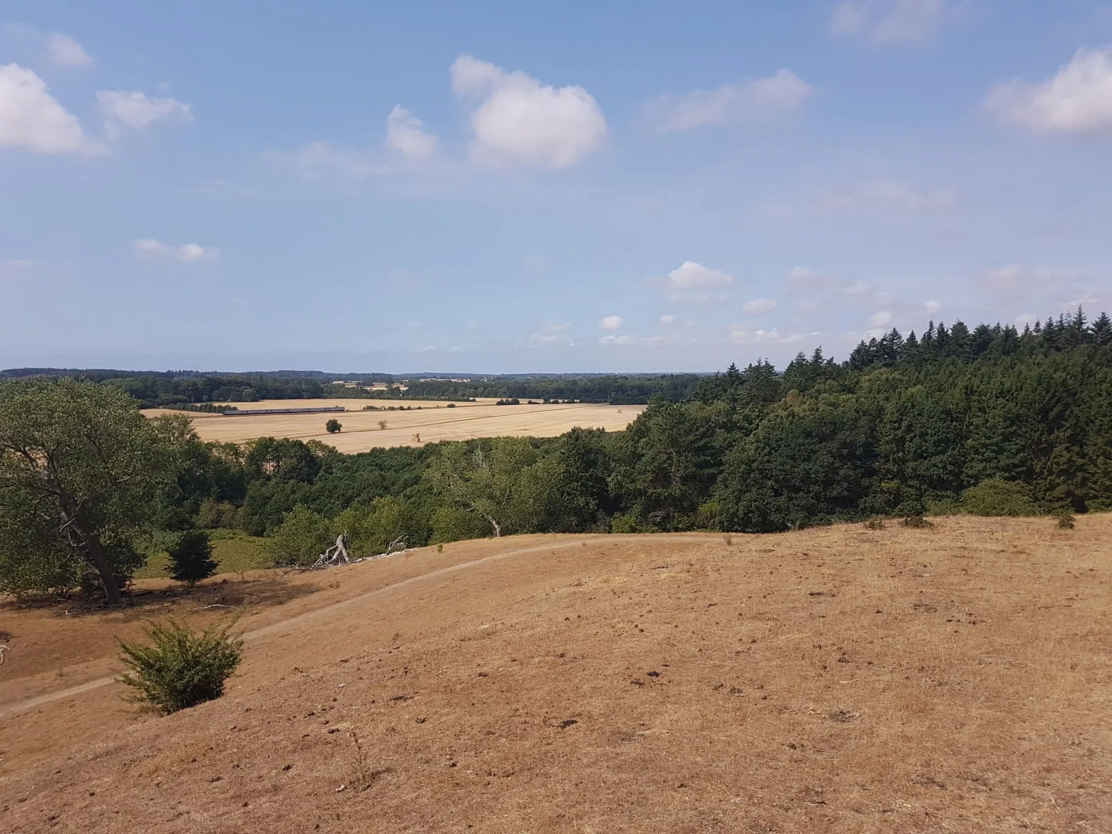 Mapillary-Foto in der Nähe von Fårebakkerne