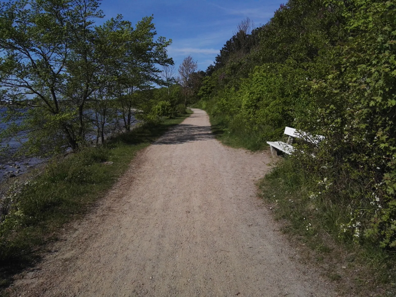 Mapillary-foto nær Frederikssund Vikingeboplads