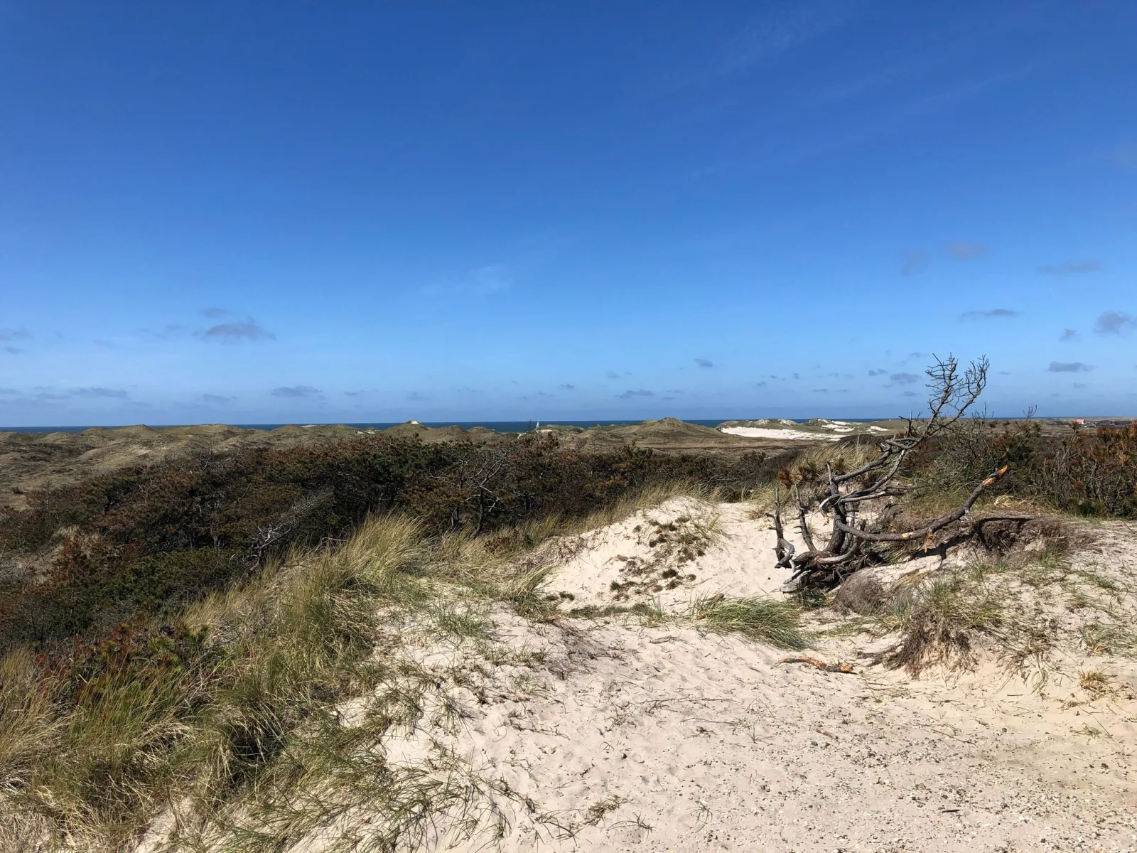 Mapillary-foto nær Marens Maw
