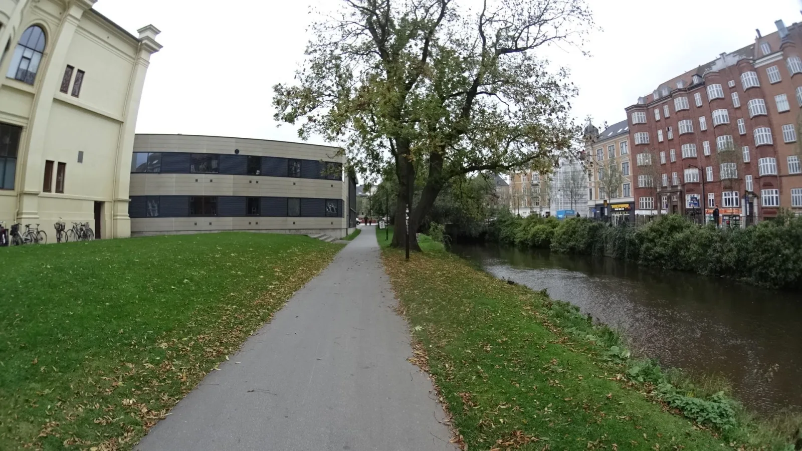 Mapillary-foto nær Pica Pica