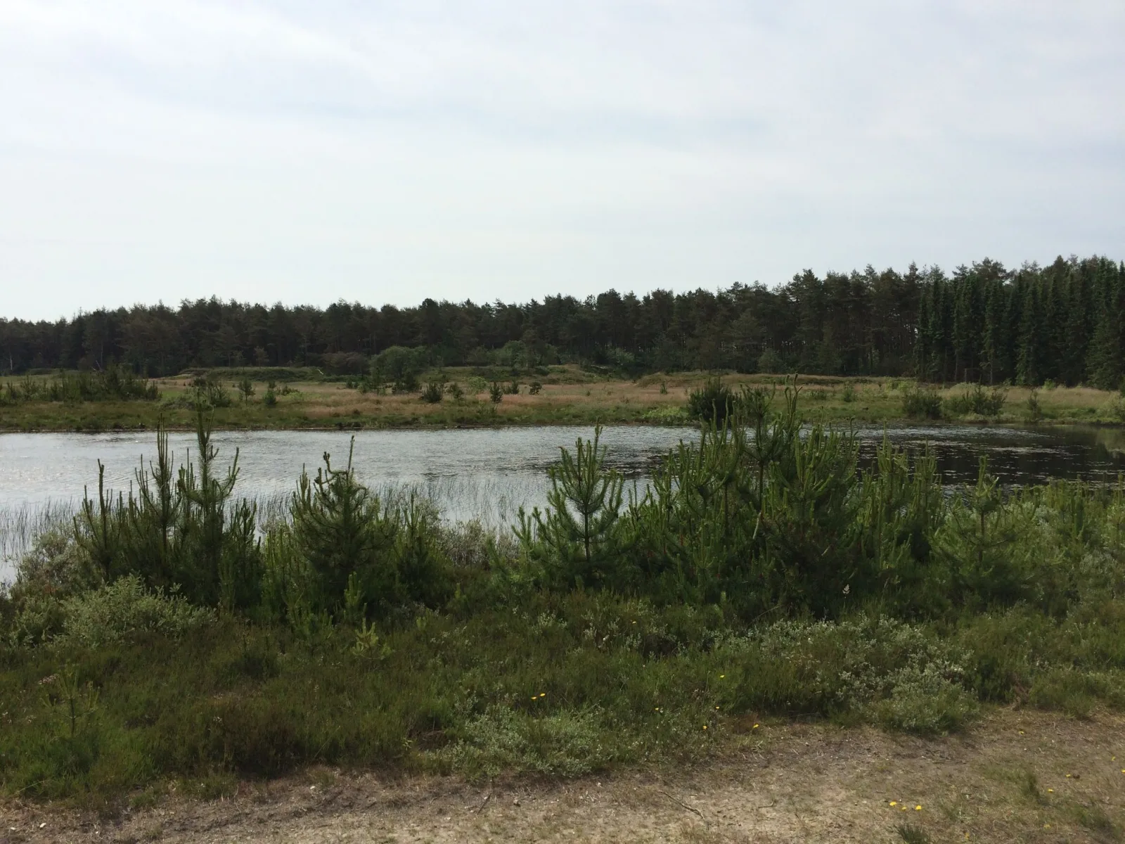 Badegewässer: LYSTLUND SØ – udsigt til strand eller hav