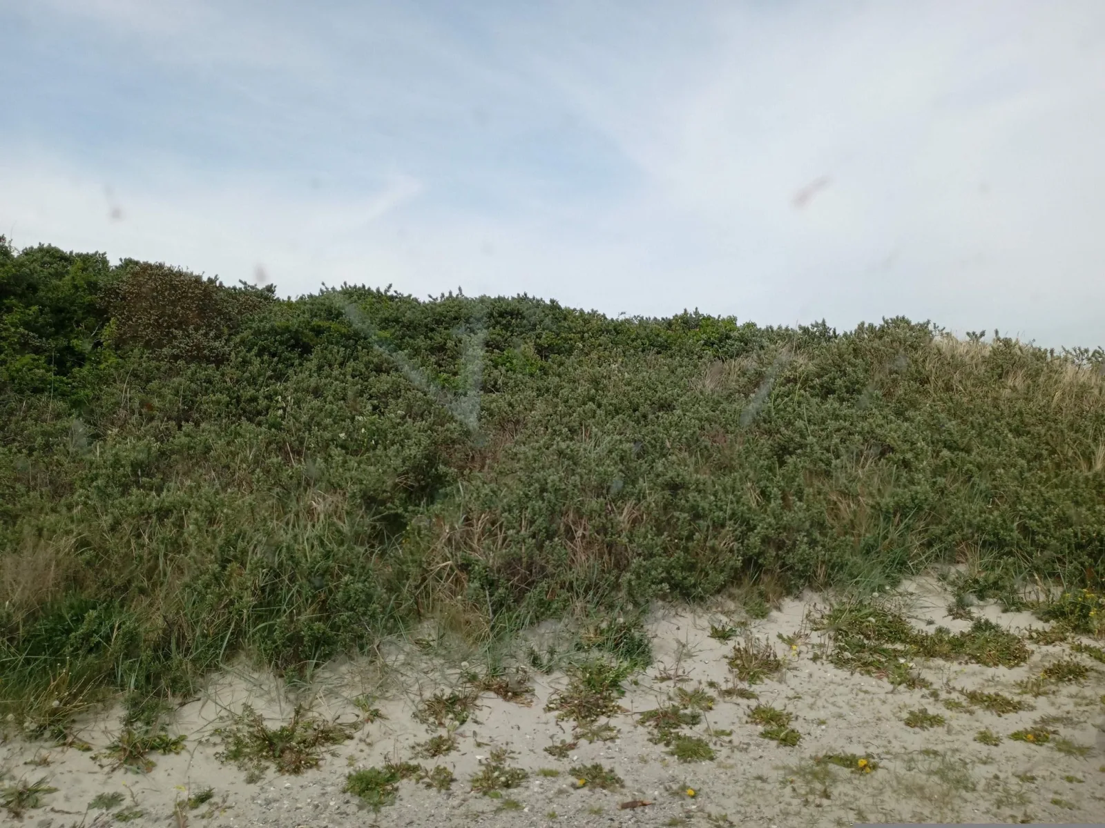Badegewässer: SØNDERKLIT – udsigt til strand eller hav