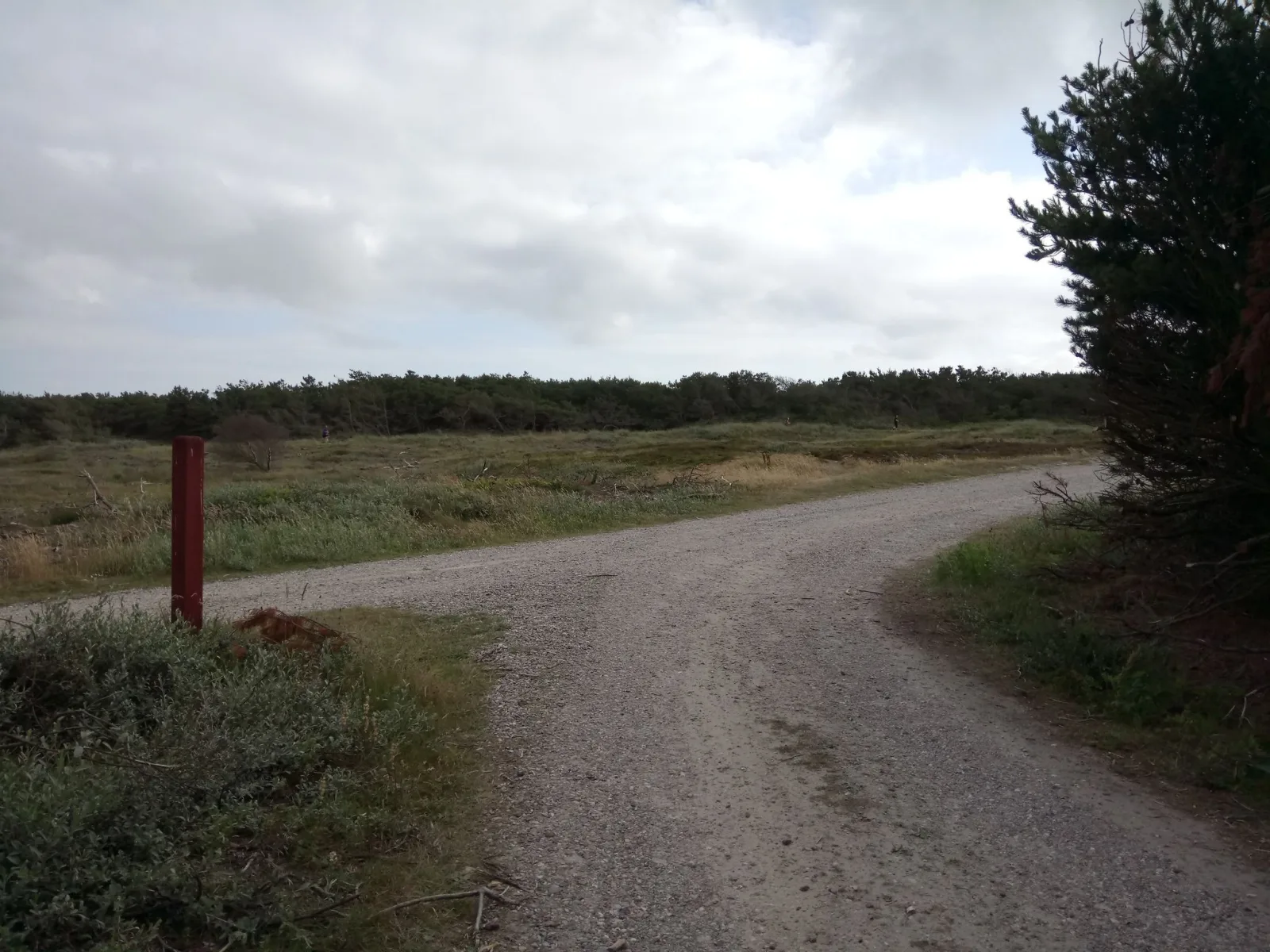 Badegewässer: SØ VED VESTER HUSBY V/ GRÆM STRAND – udsigt til strand eller hav