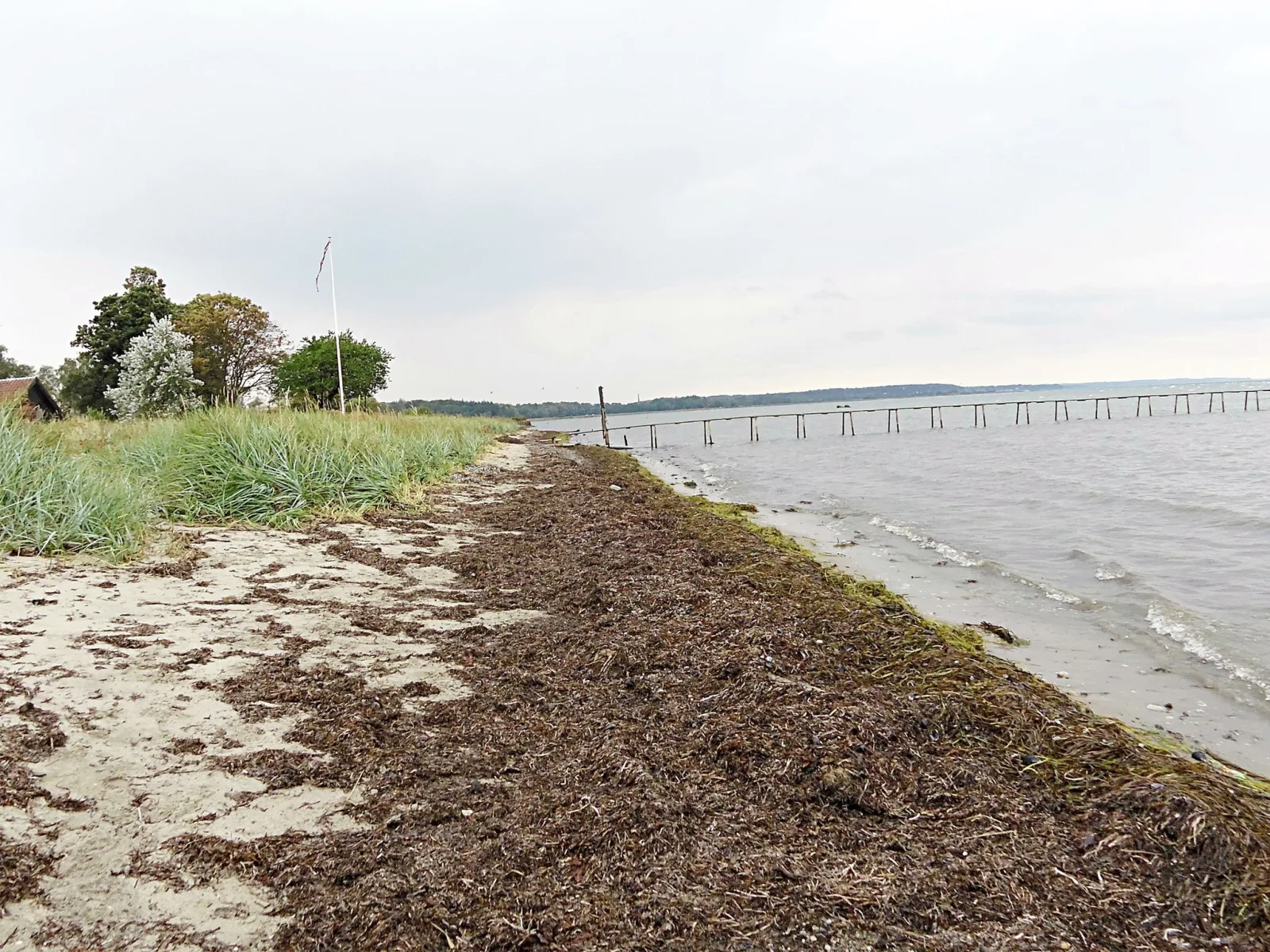 Badegewässer: STRANDHUSE, MIKKELBORG – udsigt til strand eller hav
